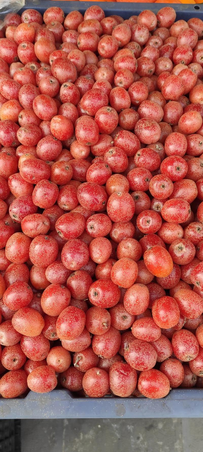 新鲜水果：季节之歌的乐章